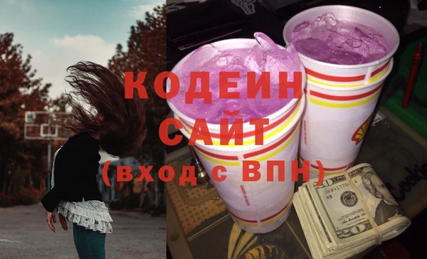 гидра Снежногорск