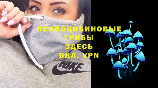герыч Алзамай