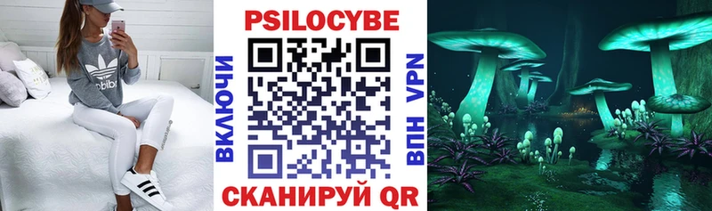 мега зеркало  Каменногорск  Псилоцибиновые грибы мухоморы  где найти наркотики 